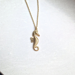 Naszyjnik "Konik Morski"